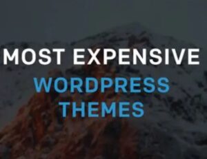 7 expensive premium WordPress themes